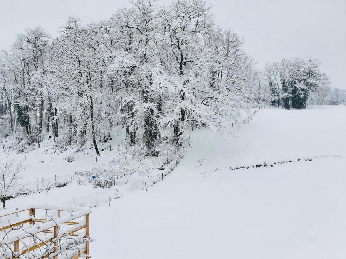 Le Lodge Du Pichat Sainte-Helene-du-Lac Zewnętrze zdjęcie